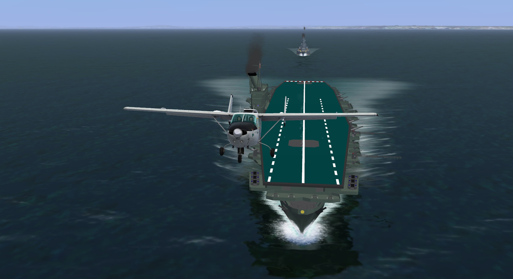 ijn2.jpg